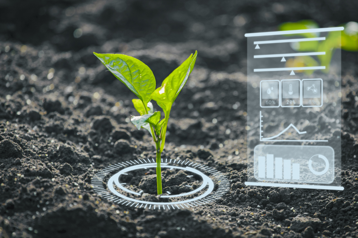 Cómo la IA revoluciona la agroindustria